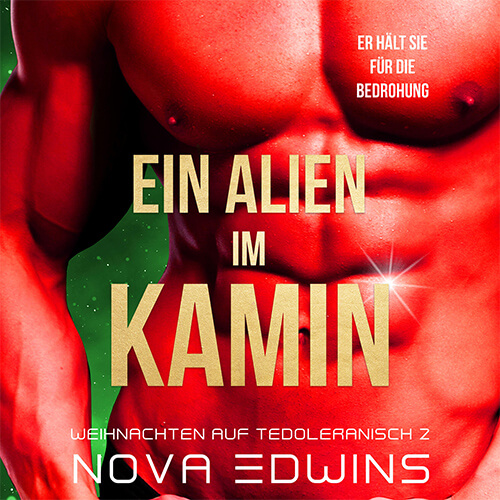 Das Cover zum zweiten Teil in der Serie Weihnachten auf Tedoleranisch von Nova Edwins: Ein Alien im Kamin.
