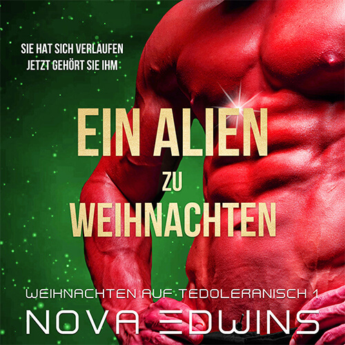 Das Cover zur weihnachtlichen Sci-Fi-Romance-Geschichte Ein Alien von Weihnachten von Autorin Nova Edwins.